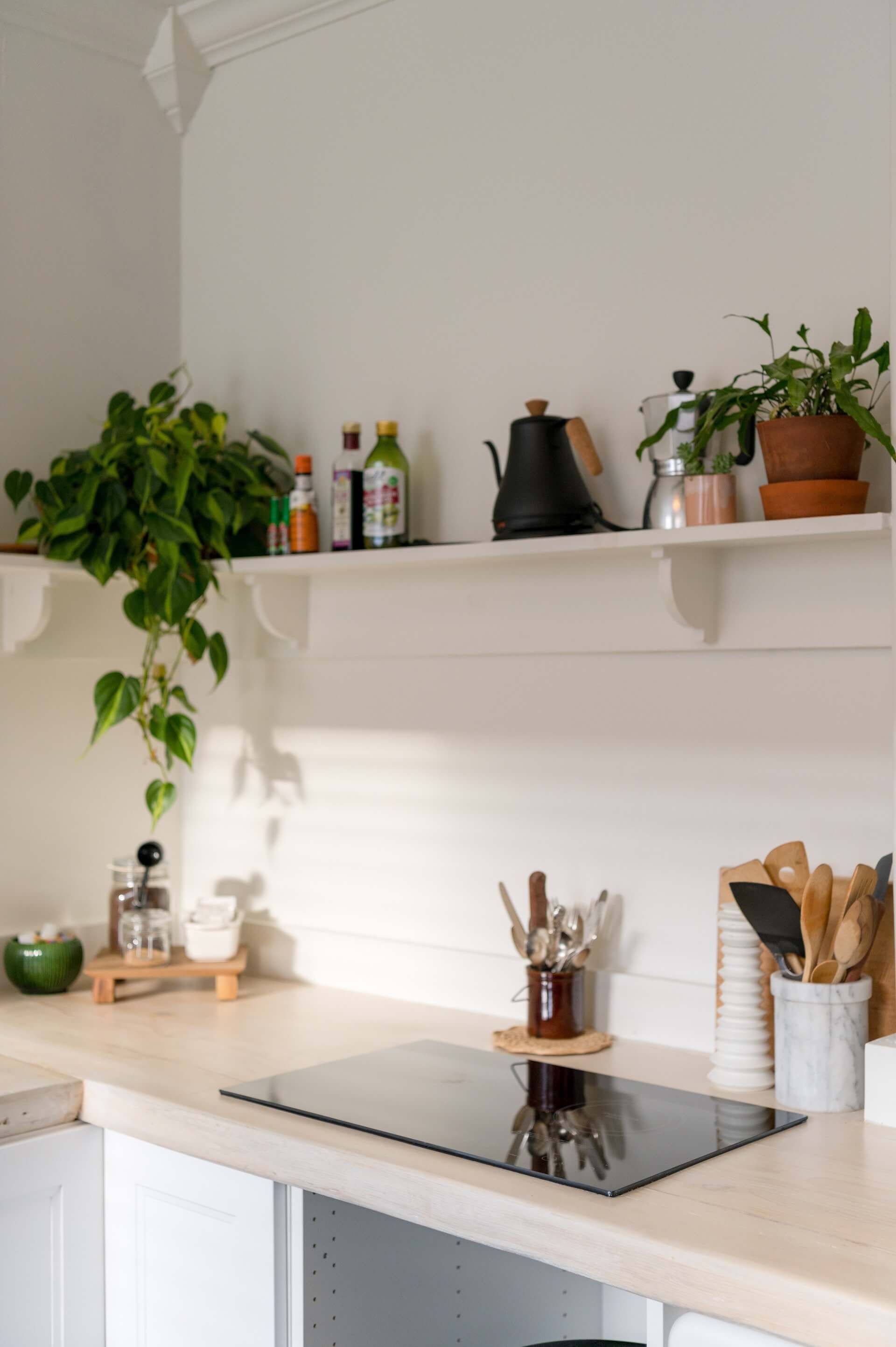 Kitchen with an induction cooktop and small kitchen appliances